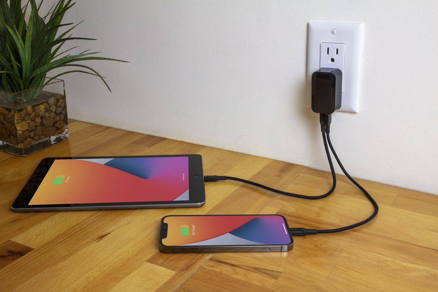 Fast Charging and Its Impact on Battery Health